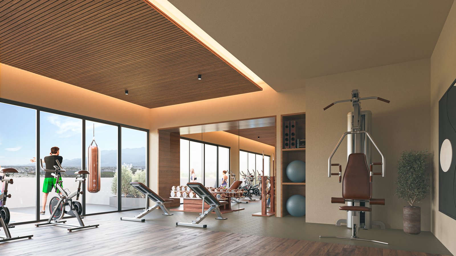 4. TERRA 242 – GIMNASIO 2 JPGE